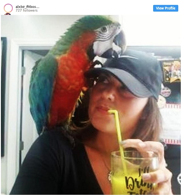 18. Покатай меня, большая черепаха!