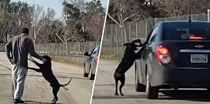 İnsan Dostu Tarafından Terk Edilen Köpeğin Aracın Peşinden Koştuğu Yürek Burkan Anlar