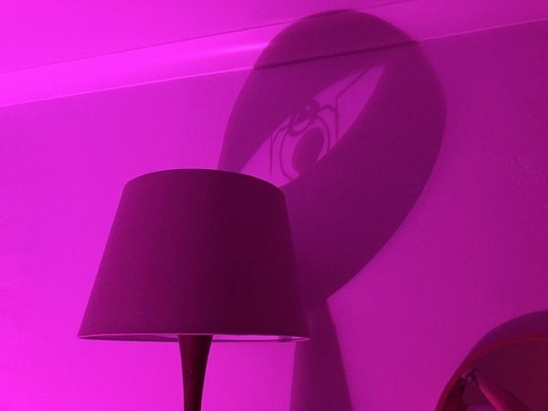 3. Это глаз или паук? Или все таки торшер?