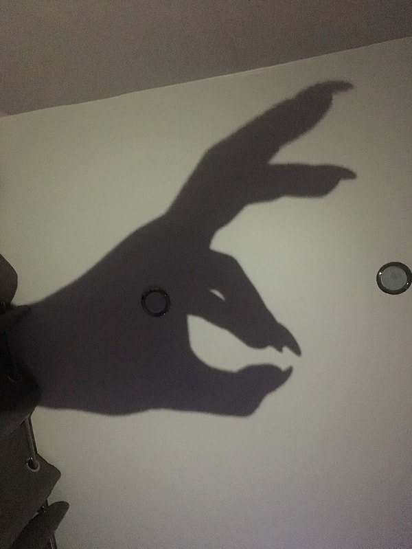 4. Зловещий кролик