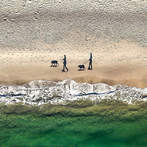 5. А ведь в реальности они совсем не такие крупные