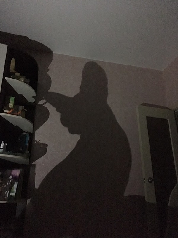 14. Большой такой кот