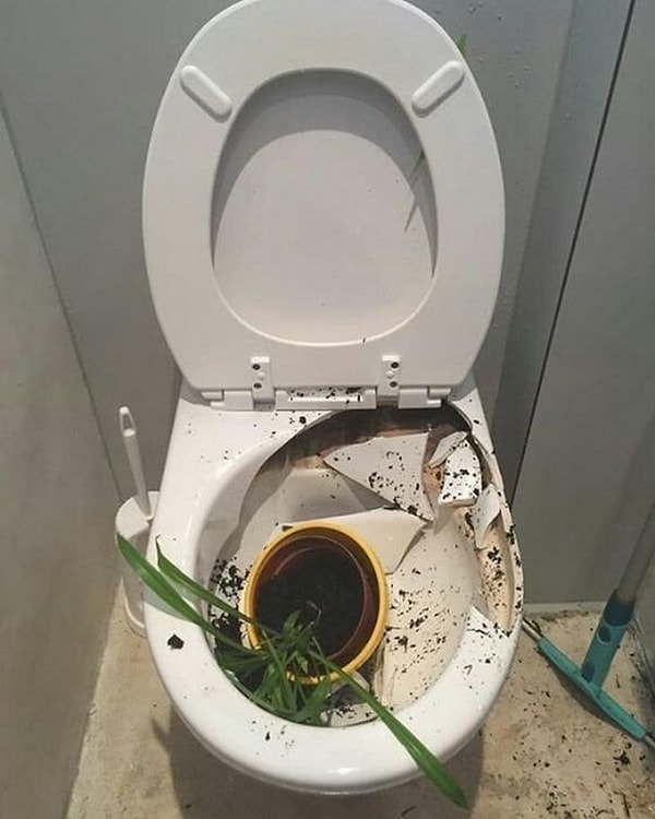 20. Не фотография, а настоящая драма