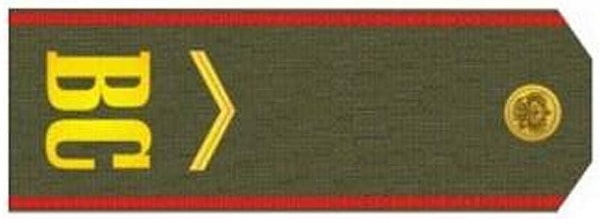 1. Кто носит такие погоны?