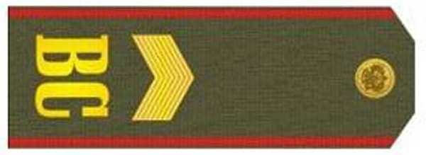 6. Кому принадлежат эти погоны?