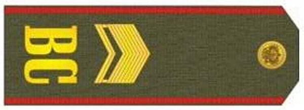 9. Кто носит подобные погоны?