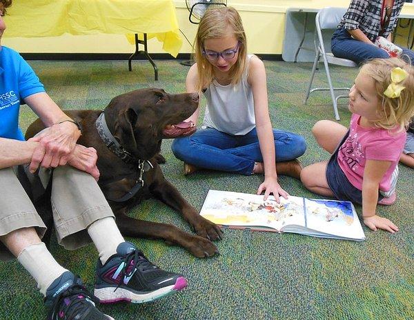 11. Finlandiya'da ve ABD'de kütüphanelerde çalışan köpekler vardır. Bu köpekler yeni okumayı öğrenen çocuklar onlara hikayeler okurken çocukları dikkatle dinlerler.