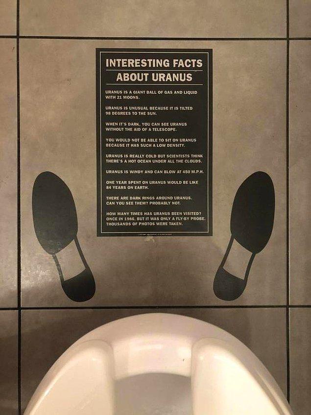 15. Tuvalette sıkılmamanız için koyulmuş bir bilgi yapıştırması.