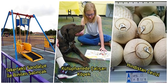 Basit İnovasyonlarla İnsanların Hayatını Kolaylaştırmayı Başarmış Düşünceli 19 İşletme