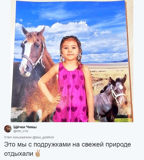 5. Отдыхают, ага