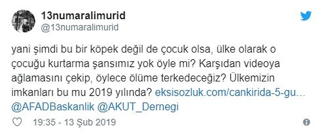 Köpeğin kurtarılması için sosyal medyadan da yardım çağrıları yapıldı...
