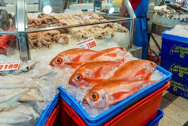 Balık pazarındaki kokular canlı balıklarda neden yoktur?