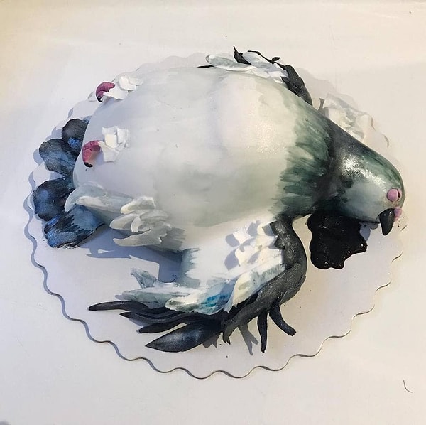 13. Еще одна странная птица