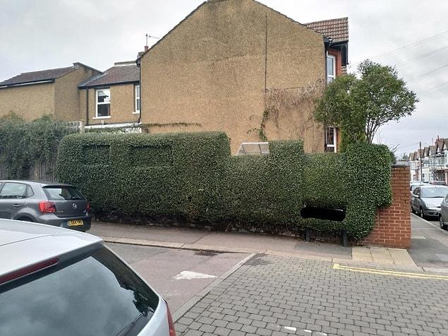 6. Who says bushes needs to be boring?