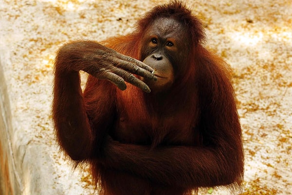 8. Какой географический объект называется Титикака?