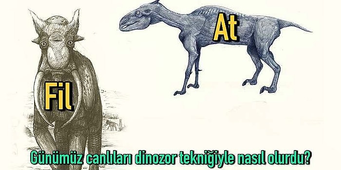 Hepsi Hollywood'un Oyunu muydu? Filmlerde Gördüğümüz Dinozorların Aslında Gerçekleriyle Alakası Bile Yokmuş!