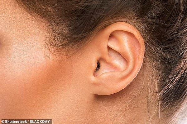 İnsanların kimliğini belirleme konusunda kulakların da en az parmak izi kadar iyi olduğunu biliyor muydunuz?