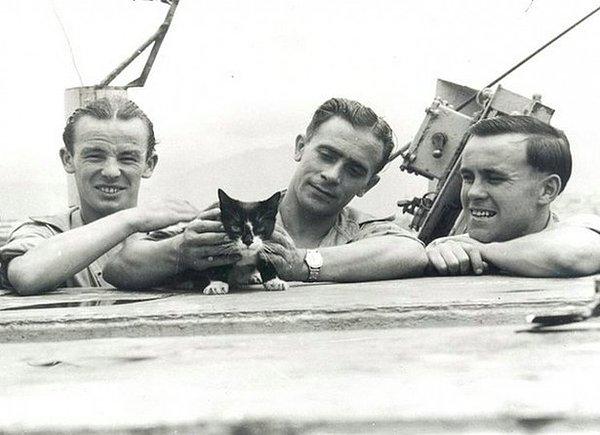 Denizci Kedi: Simon