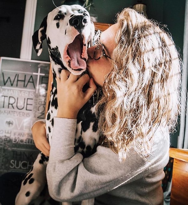 23. "Сколько еще ждать, пока она поймет, что я и есть рождественский подарок?!"