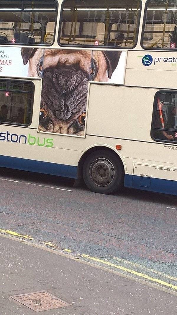 9. Краткое пособие по тому, как испортить психику людям