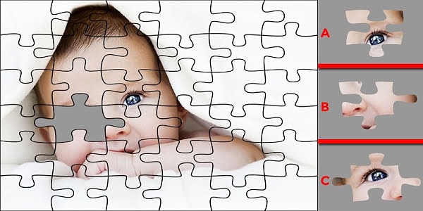 1. Какая часть пазла подходит?