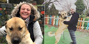 Düştüğü Sondaj Kuyusundan 12 Gün Sonra Kurtarılan 'Kuyu Köpek' 2 Yaşında!