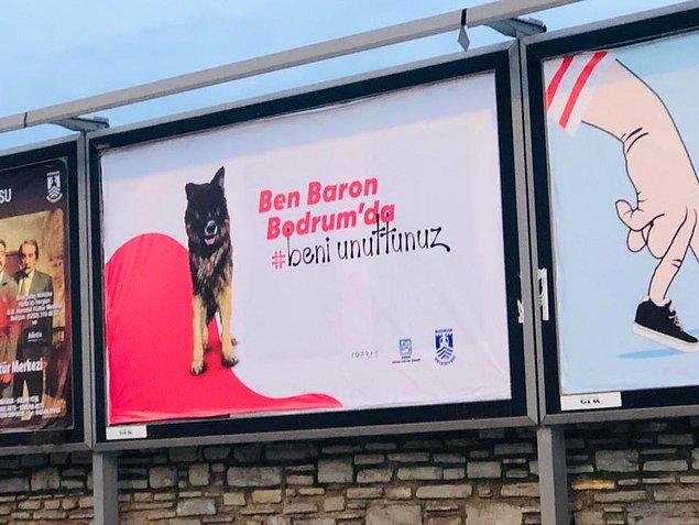 Bodrum sokaklarındaki billboardlarda artık Baron'u, Şanslı'yı ve Karamel'i görebilirsiniz. Onlar, insanların acımasızca sokağa bıraktığı masum canlardan sadece birkaç tanesi.