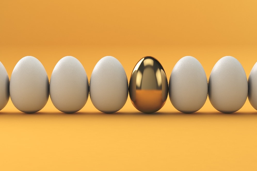 Тест: Насколько вы одинокий волк?