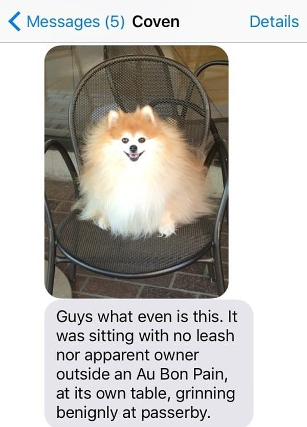 12. Они всегда присматривают за нами.