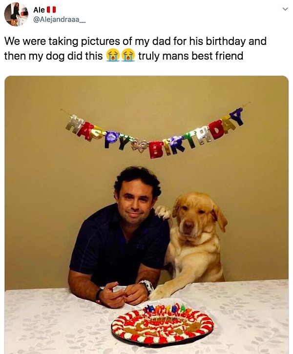 19. Собаки - это наши лучшие друзья!