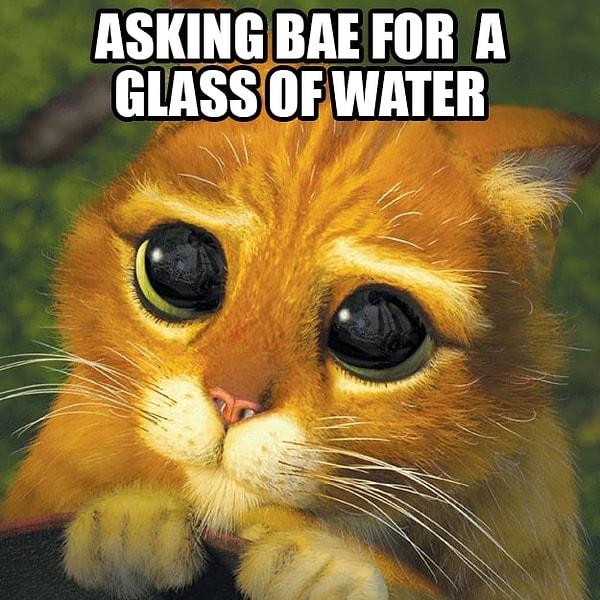 25. Твое лицо, когда ты просишь вторую половинку принести стакан воды.