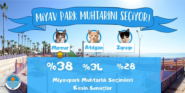 Seçim sonucunda, Mırmır, Miyav Park'ın muhtarı seçildi.