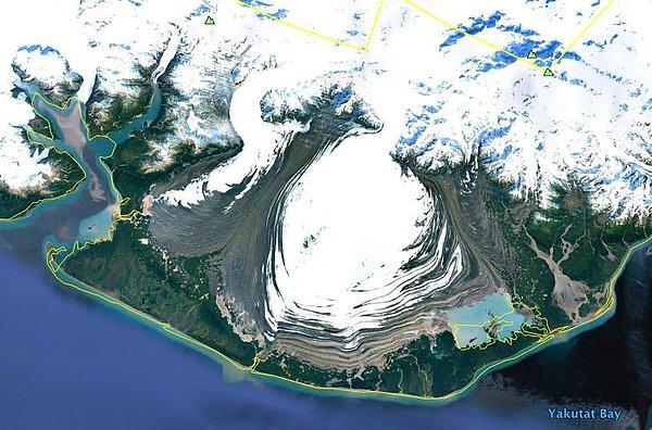 7. "Alp buzulları düz bir ovaya yayılıyor. Bu Güney Alaska'da."