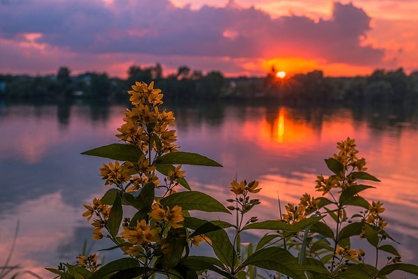 6. Какое из этих названий по древнерусскому календарю обозначает август?