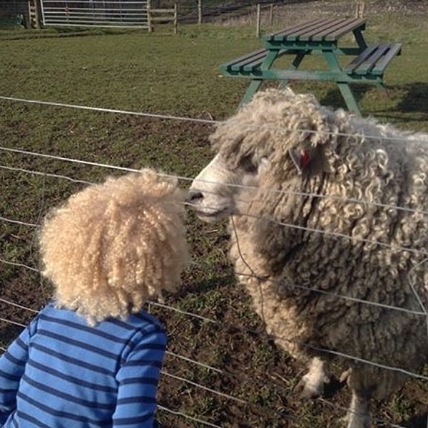 11. Какие милахи!