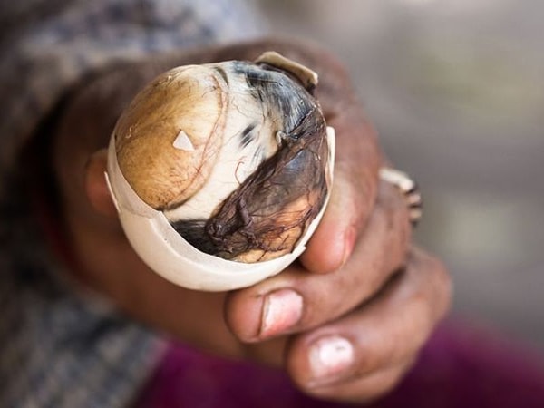 2. Чье это яйцо, как думаете?