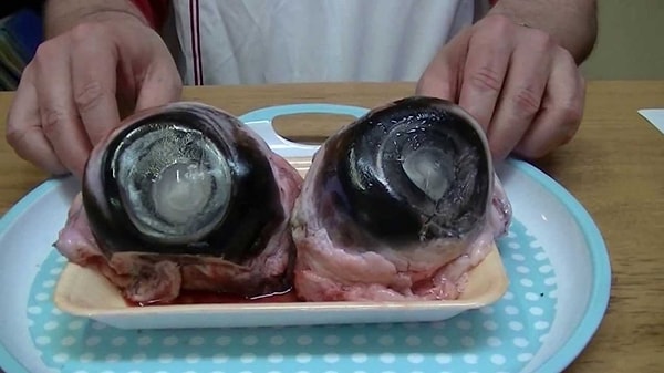 5. Ужас, но все же... Что это за блюдо?