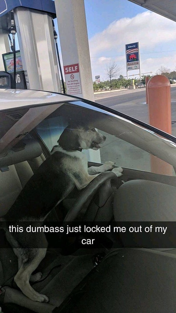 16. "Этот тупица только что заблокировал двери"