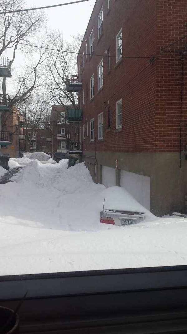 36. Сейчас-сейчас, только очищу машину от снега