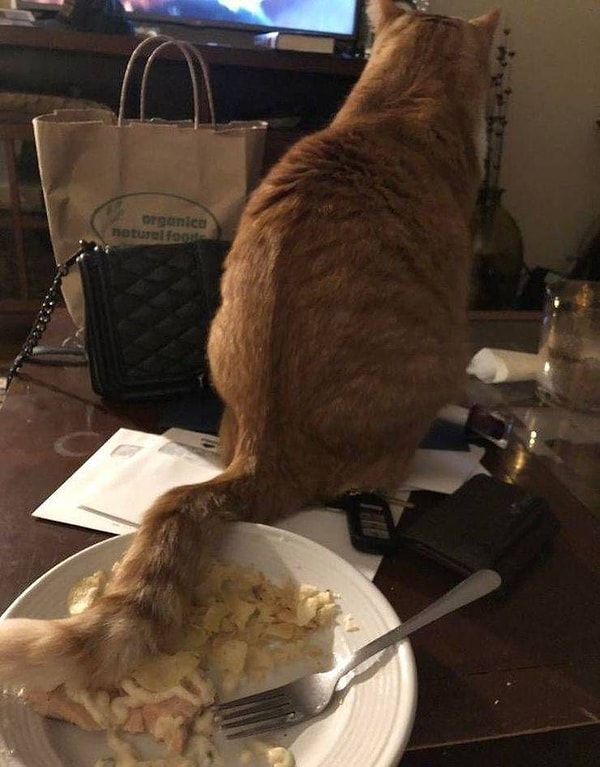 44. А нечего было оставлять меня одного на целый день!