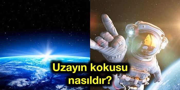 Uzayda Vücudumuza Ne Olur? Uzay Yolculuğu Yapan İnsanların Başına Gelen 10 İlginç Durum