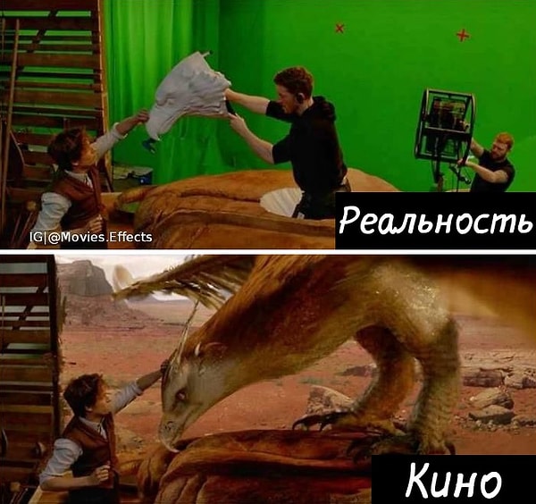 24. Фантастические твари и где они обитают