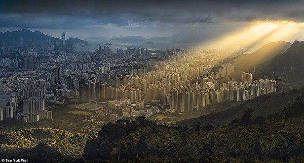 Hong Kong'da çekilen bu fotoğraf ise Tse Yuk'a ait.
