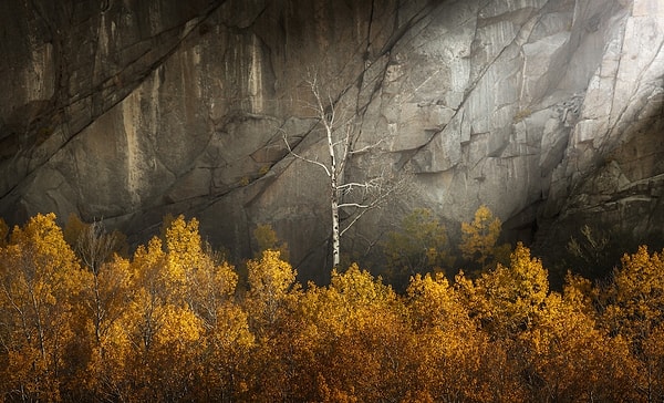 Doğu Sierra, Kaliforniya, ABD