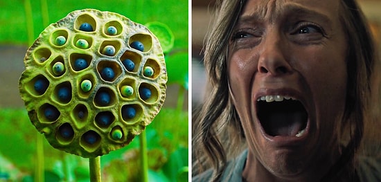 Опрос: Боитесь ли вы тех же вещей, что и другие?