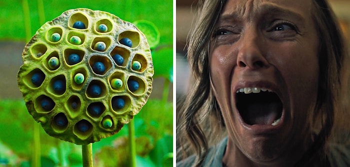 Опрос: Боитесь ли вы тех же вещей, что и другие?