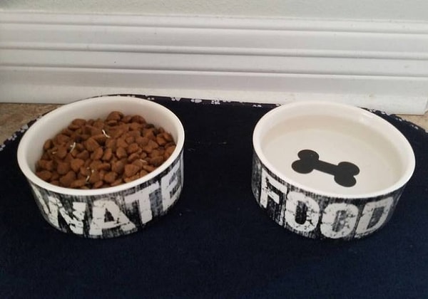 6. "Когда она отрицает условности и ей все равно, какая миска для воды, а какая - для питья".