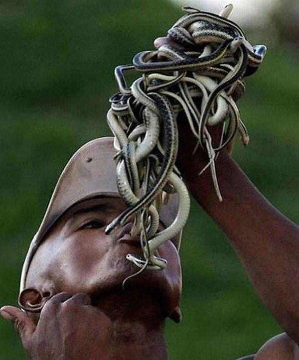 29. Что-то я проголодался...