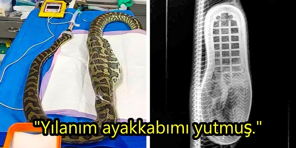 Başlarına Gelen Olaylarla Dünyanın Yıllık Şanssızlık İhtiyacını Karşılayan 21 Bahtsız Kişi