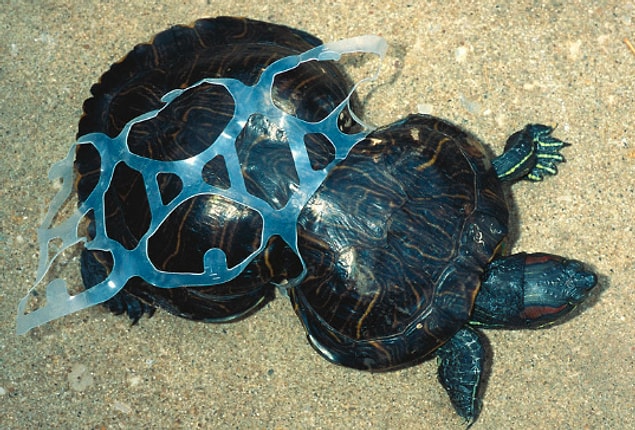 Her yıl, yaklaşık olarak 9 milyon tonluk plastiğin sonu okyanuslar oluyor.